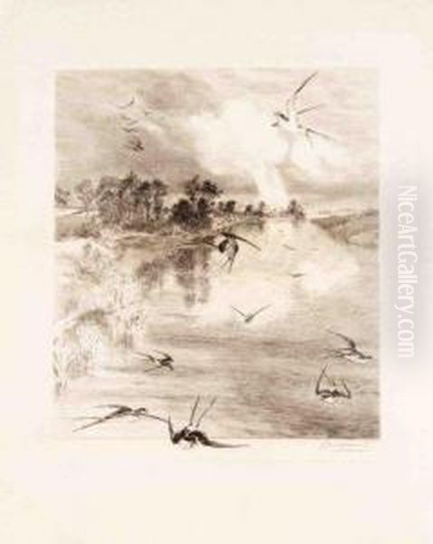 Les Hirondelles by Felix Bracquemond