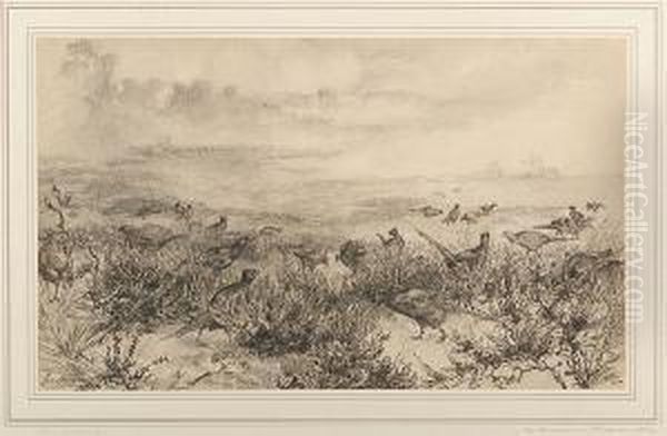 Pheasants Feeding, Study For The Etching - view 1
