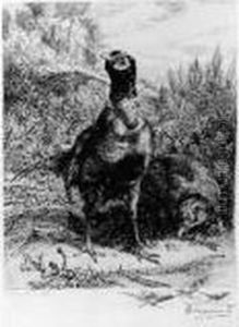 Faisans (coq Et Poule). 1899 ; Gypaete. 1905. by Felix Bracquemond