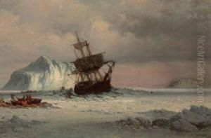 Caught In The Ice Floes