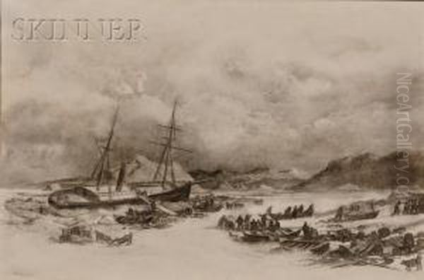 Arctic View - view 1