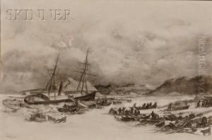 Arctic View