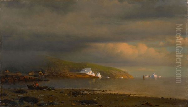 Near Cape St. Johns, Coast Of Labrador - view 1