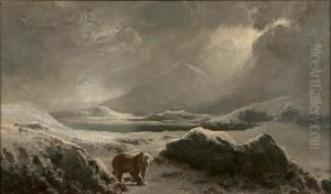 A Polar Bear In The Arctic