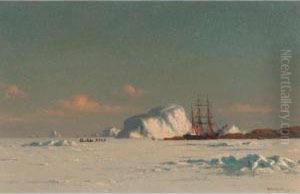In The Arctic