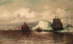 The Coast Of Labrador