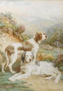 An English Setter And A Pointer In Alandscape by Basil Bradley