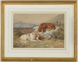 Deux Epagneuls Breton Dans Un Paysage Deux Epagneuls Breton Dans Un Paysage