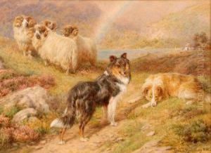 Sheep And Collie Dogs In Highland Setting by Basil Bradley