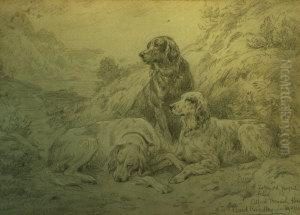 Study Of Three Setters In A Landscape Study Of Three Setters In A Landscape