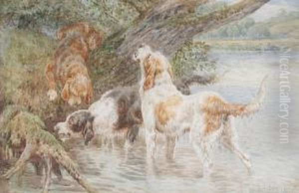 Otter Hounds - view 1