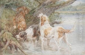 Otter Hounds