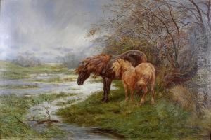 Wind And Rain - The Vale Of Conway by Basil Bradley