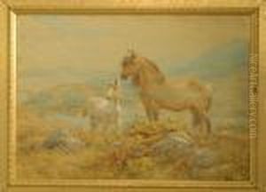 Ponies By Acoastal Estuary