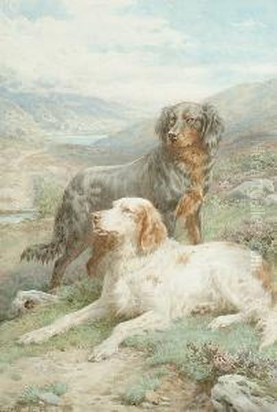 Setters In A Highland Landscape - view 1