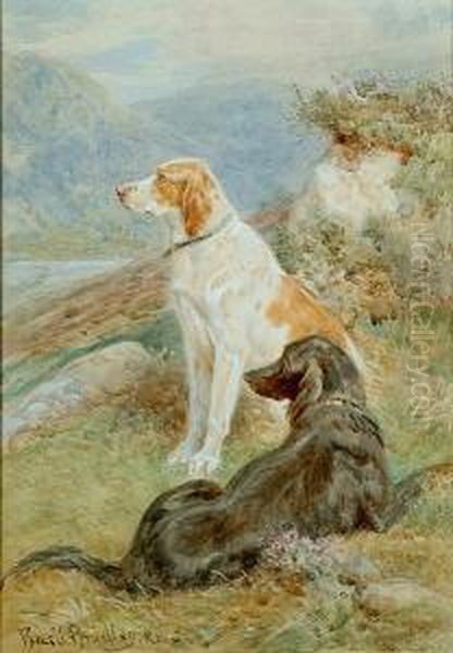 Pointer And A Gordon Setter On The Moor - view 1