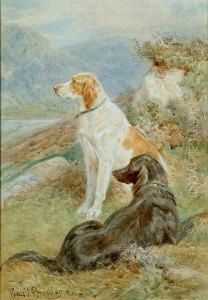 Pointer And A Gordon Setter On The Moor by Basil Bradley