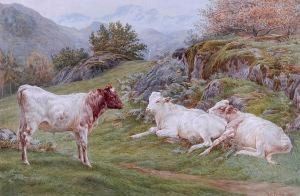 Calves On A Hillside Calves On A Hillside
