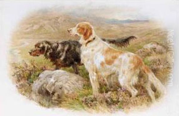 Collies In The Highlands; Setters - view 1