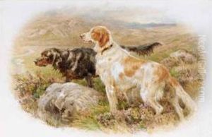 Collies In The Highlands; Setters