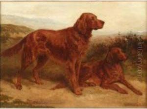 Irish Setters 'tyrone & Geraldine' (champions) In Alandscape by Basil Bradley