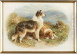 Setters; Scotch Collies by Basil Bradley