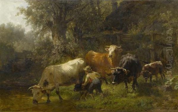 Cows Watering - view 1