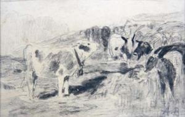 Ziegenherde Und Kalb Auf Der Weide - view 1