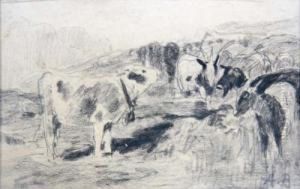 Ziegenherde Und Kalb Auf Der Weide