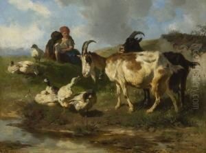 Ganse Und Ziegen by Anton Braith