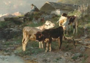 Calves By A Stream In Sunlight