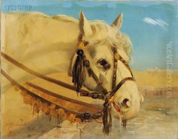 The Arabian Mount - view 1