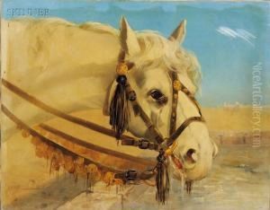The Arabian Mount by Clarence E. Braley