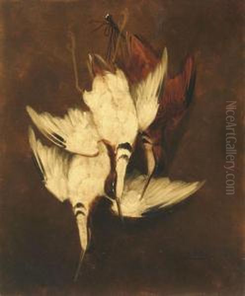 Still Life With Game Bird Trophy - view 1