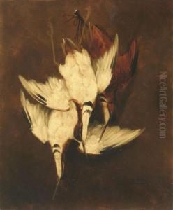 Still Life With Game Bird Trophy by Clarence E. Braley