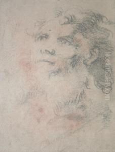 Study Of A Bearded Man by Giacinto Brandi