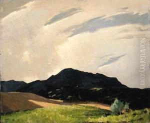Spring In The Canyon by George Kennedy Brandriff