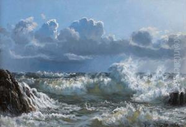Marine - view 1