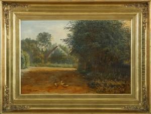 Landscape With House And Geese