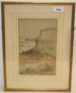 Cliffs, Whitby by John Francis Branegan