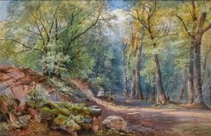 In Leigh Woods, Clifton, Bristol by Charles Brooke Branwhite