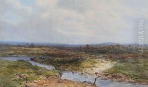 "on Wareham Marshes by Charles Branwhite