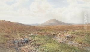 A View Of Dartmoor