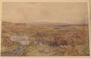 On Themoors Near Belstone