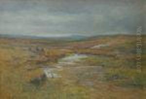 Peat Cutting, Dartmoor by Charles Branwhite