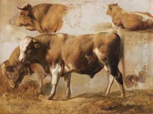 Etude De Taureaux by Jacques Raymond Bracassat