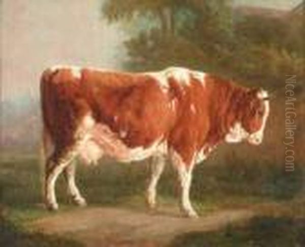 Vache - view 1