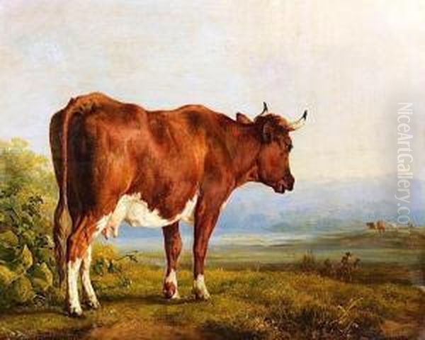 Vache Dans Un Paysage - view 1