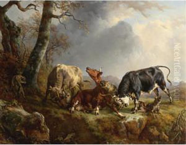 Two Bulls Defending A Cow Attacked By Wolves - view 1