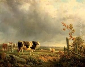 Vaches Au Paturage.